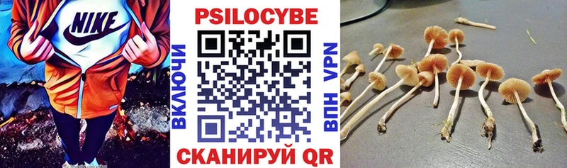 Псилоцибиновые грибы мицелий  ОМГ ОМГ онион  Яранск  цены  