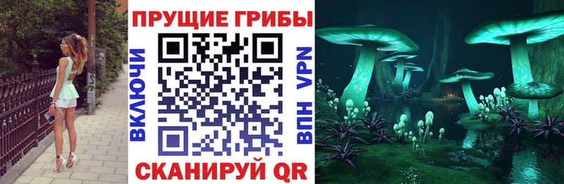 Псилоцибиновые грибы прущие грибы Яранск